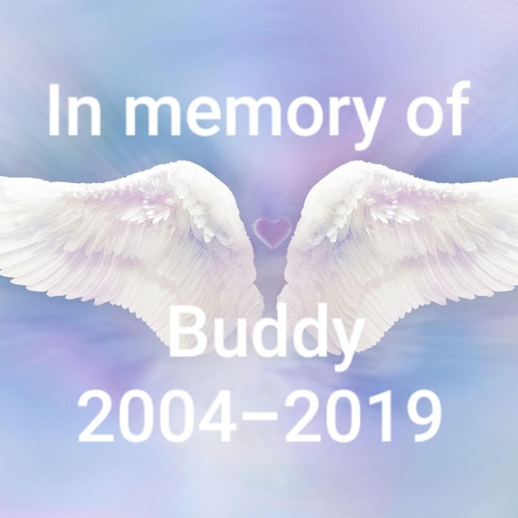 Meet your Posher, Debbie - Picture 5 of 5